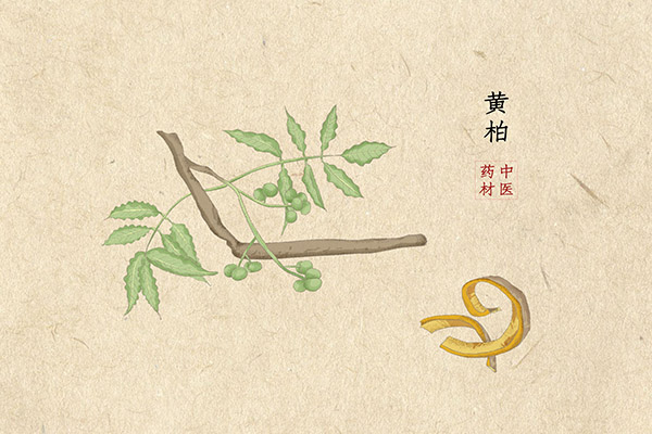 劳动合同补充协议书保底工资_劳动合同补充协议书