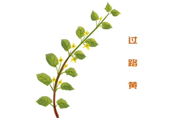 《秋天的怀念》课内阅读及答案_秋天的怀念课时练答案