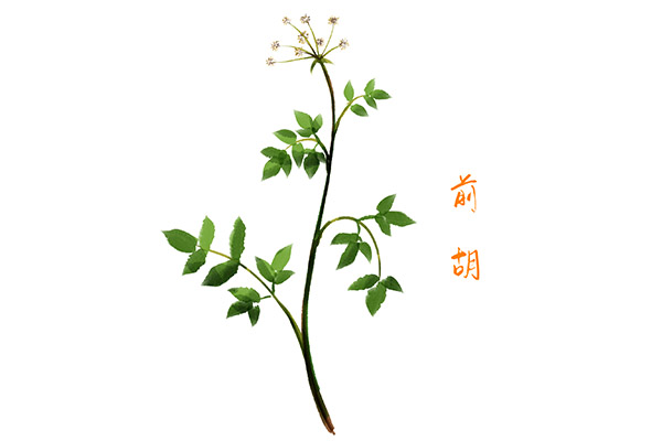 大班健康活动食品安全教案_大班健康活动餐厅里的安全教案