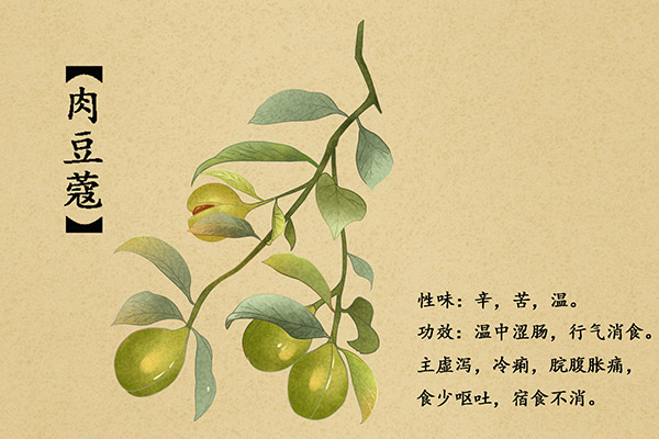 电气类实习报告