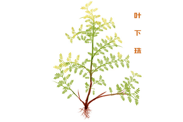 消防施工合同_消防施工合同电子版