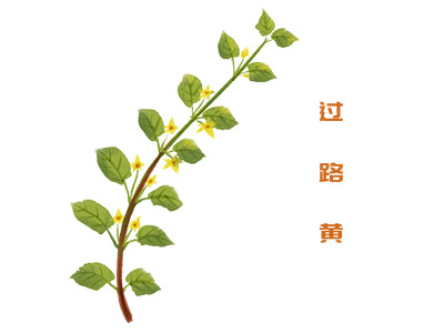 公司承诺书样板_公司产品服务承诺书
