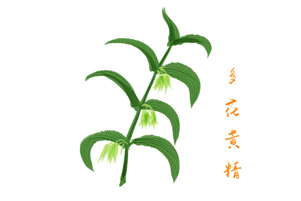 送东阳马生序优质课教学设计_送东阳马生序的优秀教案